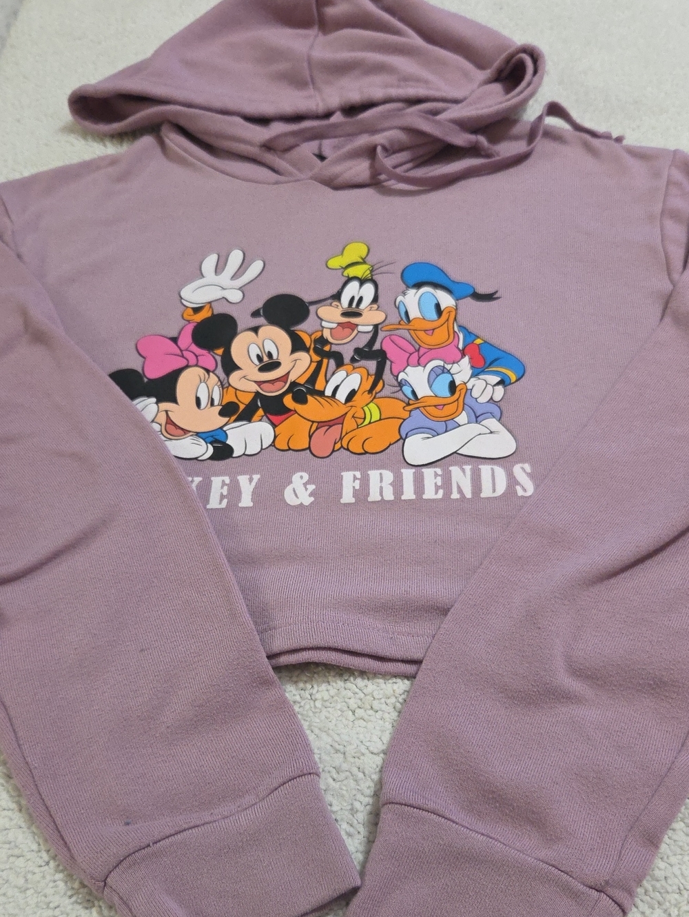 DISNEY MICKEY MOUSE AND FRIENDS HOODIE SWEATSHIRT